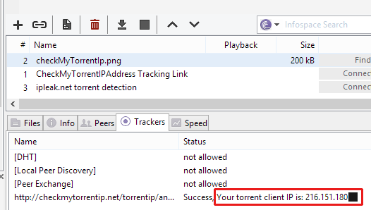 IP address in torrent client